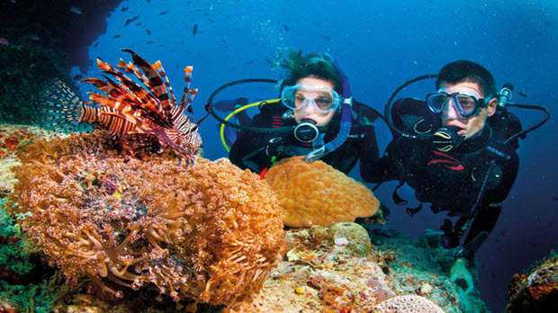  Những điểm lặn ngắm san hô siêu hấp dẫn tại Việt Nam